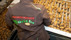 Eine Person in brauner Jacke mit Aufschrift steht vor einem Förderband voller Kartoffeln.