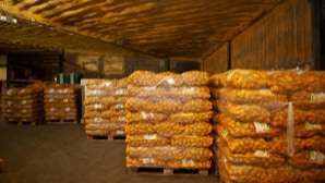 Stapel von Kartoffelnetzen auf Paletten in einem Lagerraum.