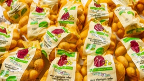 Mehrere Beutel mit Kartoffeln, die in durchsichtigen Verpackungen mit Etiketten verpackt sind.