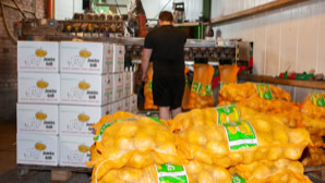 Person in schwarzer Kleidung steht in einer Lagerhalle mit gestapelten Kisten und Säcken voller gelber Kartoffeln.