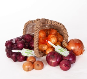 gelbe und rote Zwiebeln im Netz liegen in einem Korb und teilweise lose davor