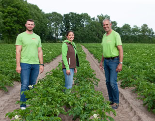 Drei Personen stehen in einem Kartoffelfeld, umgeben von grünen Pflanzenreihen, mit Bäumen im Hintergrund. Alle tragen grüne Oberteile und Jeanshosen.