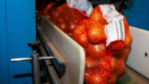 Netzbeutel mit Zwiebeln auf einem Förderband in einer industriellen Umgebung.